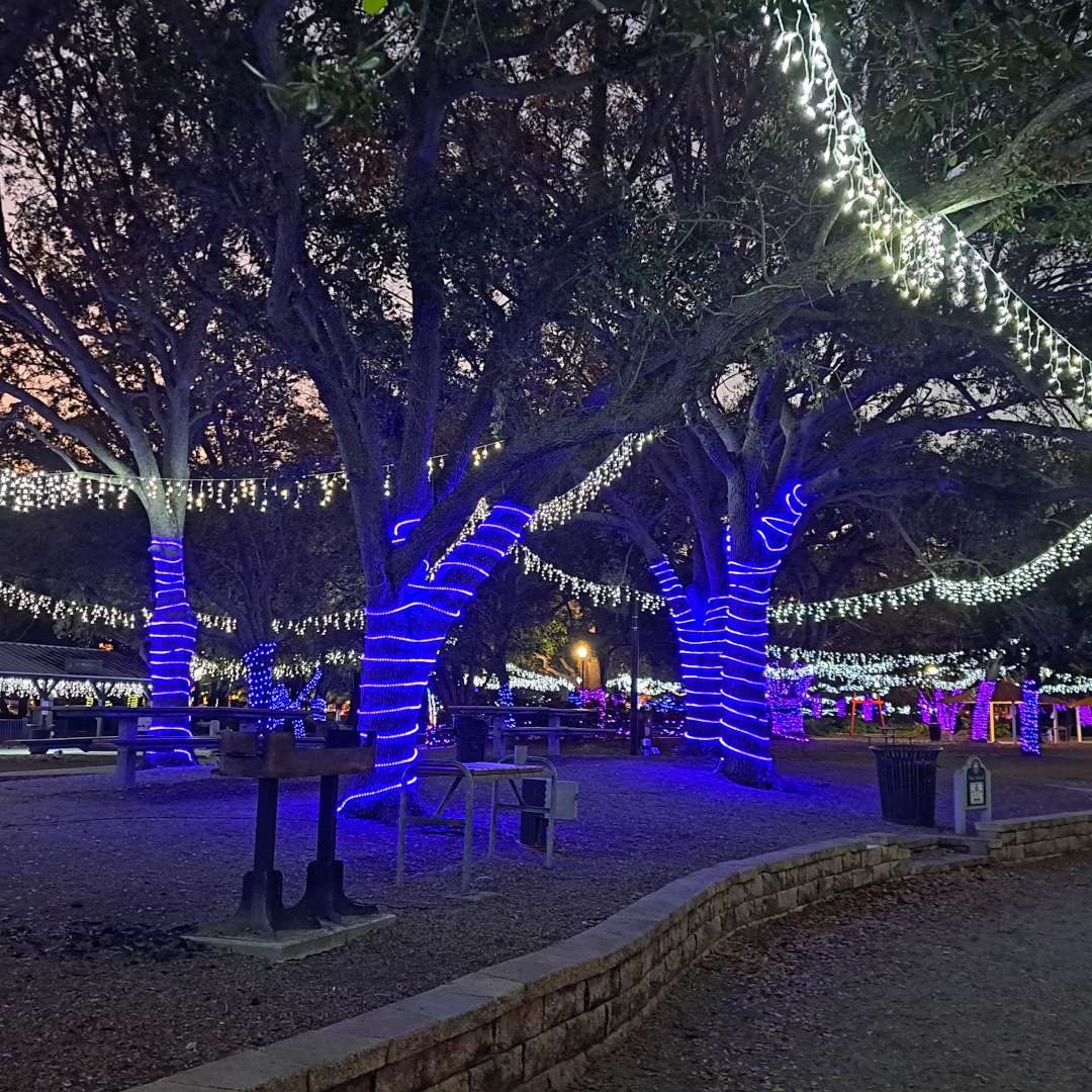 florida 16