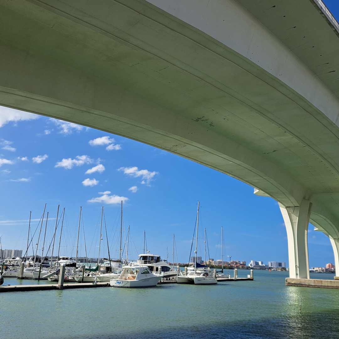 florida 29
