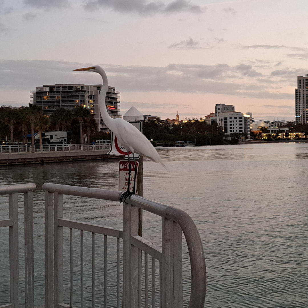 florida 32