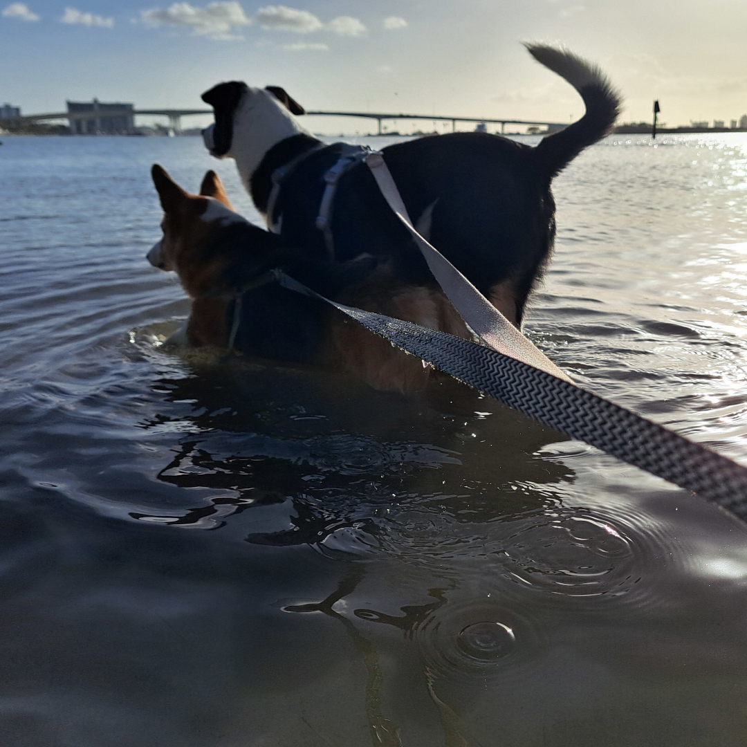 florida 34