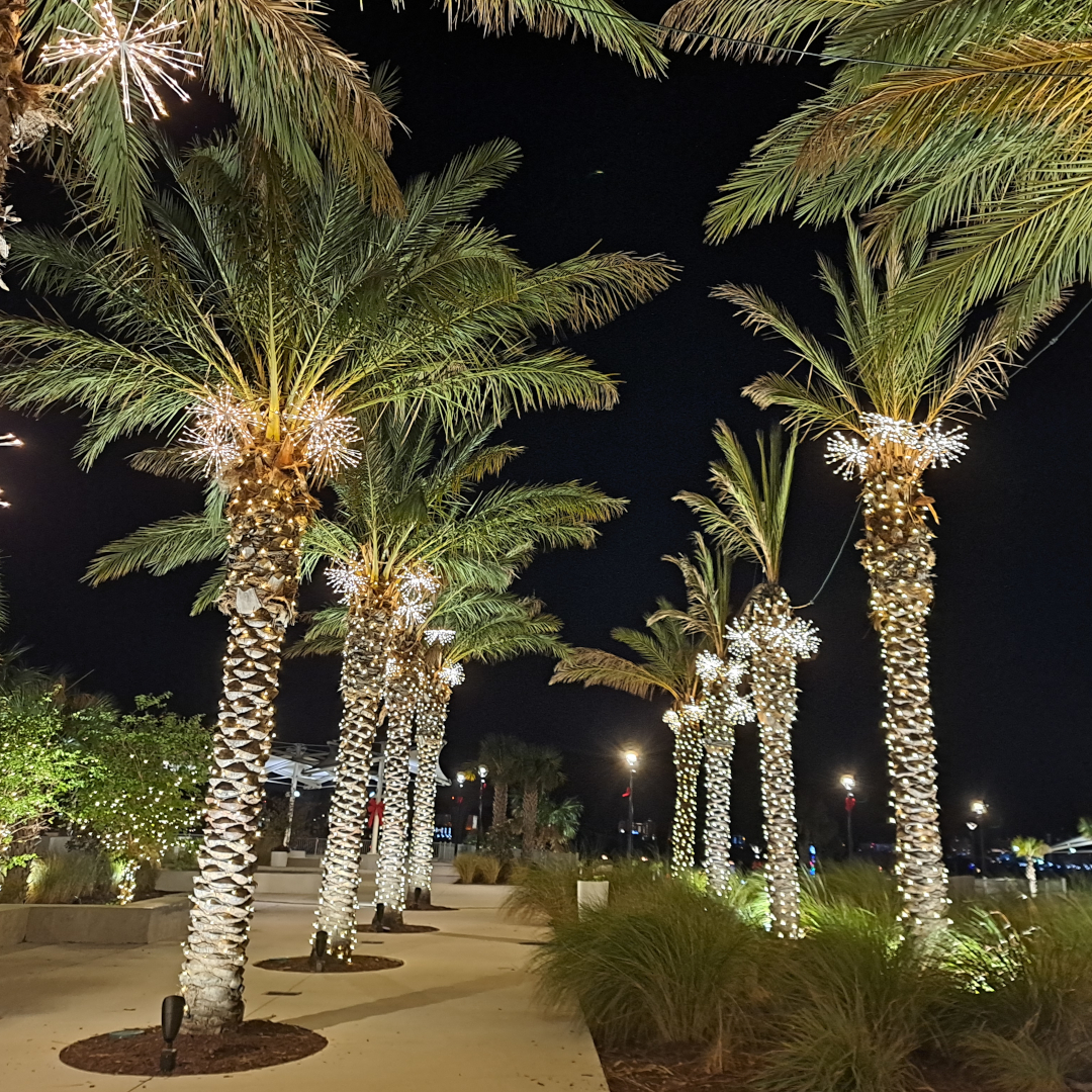 florida 35