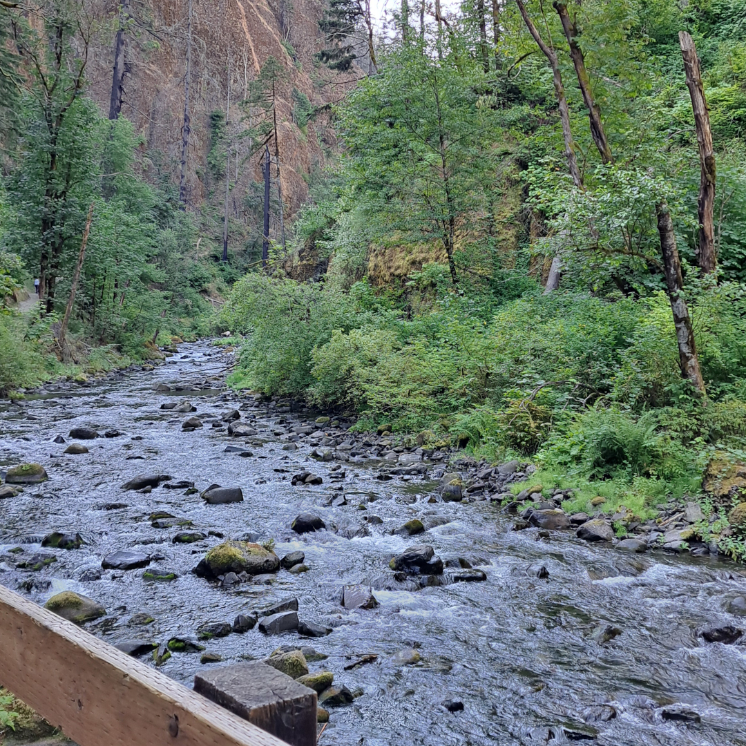 oregon 04