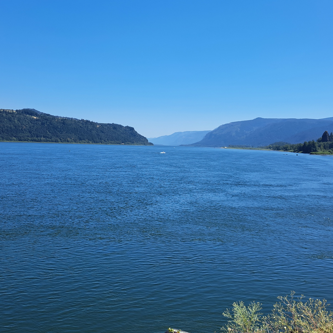 oregon 07