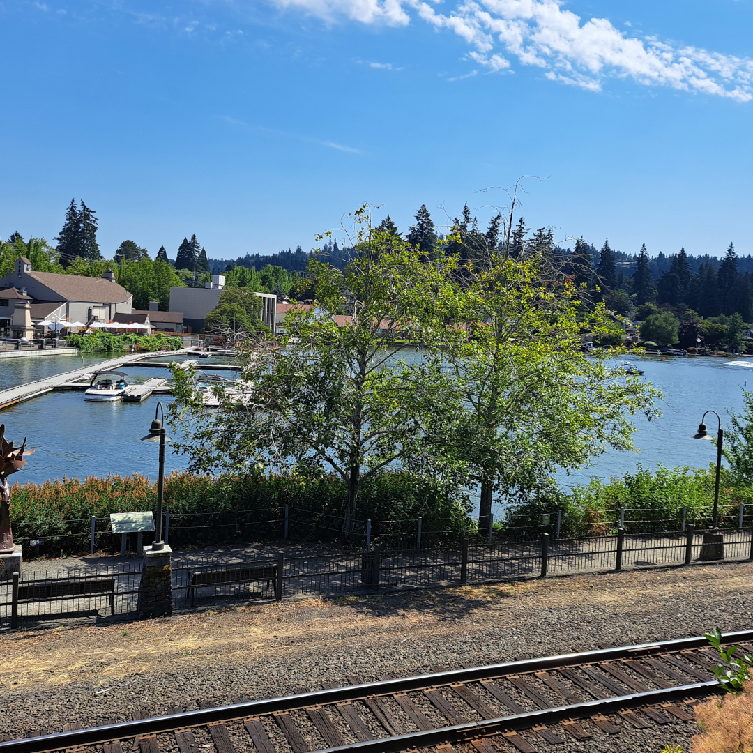 oregon 36